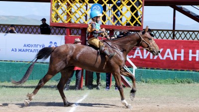 Эрлийз дээд