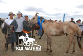 Аймгийн Алдарт уяач Р.Бадрах:”Тэр жил Манлай хонгор маань улс бүсийн наадамд нэг түрүүлж, нэг айрагдсан”