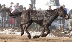 “Дүнжингаравын хурд-2013” хаврын бүсийн уралдаанд түрүүлж айрагдсан хурдан соёолонгууд