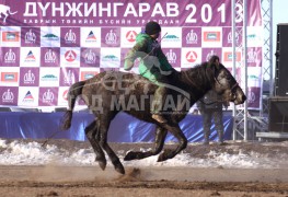 “Дүнжингаравын хурд-2013” хаврын бүсийн уралдаанд түрүүлж айрагдсан хурдан соёолонгууд