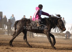 “Дүнжингаравын хурд-2013” хаврын бүсийн уралдаанд түрүүлж айрагдсан хурдан соёолонгууд