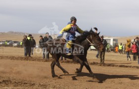 Тод манлайн мялаалга наадам нижгэр боллоо