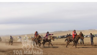 Тод манлайн мялаалга наадам нижгэр боллоо