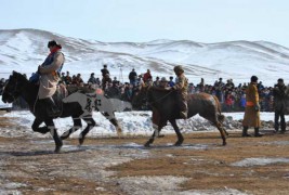 “Дүнжингаравын хурд-2012” уралдаанд түрүүлж айрагдсан их насны морьдын дэлгэрэнгүй танилцуулга