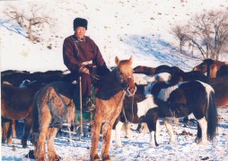 Аймгийн Алдарт уяач Ж.Нямлхагва: Зайрантны хурдан саарлын удмаараа манайхан үе дамжин сайхан наадаж байна