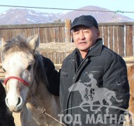 Малын их эмч Батхүү: Хэн дуртай нь ямар ч үндэслэлгүй адуу хатгаад байгааг харахаар бухимдал төрдөг