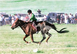 Төрийн их унаач Ц.Өсөхбаяр:Маргааш уралдана даа гэж бодохоор догдлоод шөнө унтдаггүй