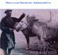 Дөрвөн үеийн эрдэмт уяач Д.Гал