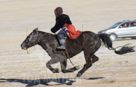 1.Төв аймгийн Баян сумын уяач Даваасүрэнгийн хар