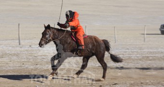 2. Төв аймгийн Баянжаргалан сумын уяач Батцэнгэлийн хүрэн
