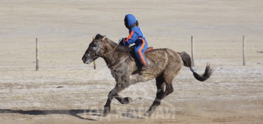 3. Төв аймгийн Баянжаргалан сумын уяач Батсайханы саарал