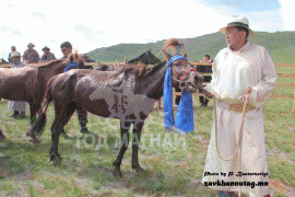 Яруу сумын харьяат, Тод манлай уяач Д.Дагвадоржийн хүрэн