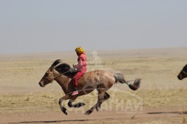 “Жавхлант шаргын хурд-2014” уралдааны хурдан соёолонгууд