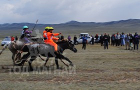 Аймгийн Алдарт уяач Л.Чулуунбаатарын бор 