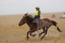 Манлайн хүү одтой наадав