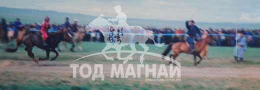 МУ-ын Алдарт уяач О.Жамъяндорж: Буурал духт ааш муутай, хачин адуу байж билээ