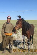 Аймгийн Алдарт уяач У.Соронзонболд: Зодог тайлсан Орлой хонгороо би маллаж байгаа