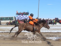 Д.Эрдэнэбаатарын хул