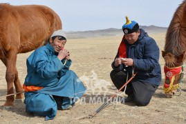 Аймгийн Алдарт уяач Г.Амартүвшин: Одоо ч Улсын хошой аварга малчны туузыг нь хараад аав, ээжээрээ бахархдаг