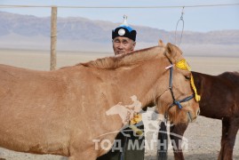 Аймгийн Алдарт уяач Д.Лүндэн: Чулуу ихтэй газарт мордсон адуу булгиж чаддаггүй юм