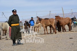 Аймгийн Алдарт уяач Д.Лүндэн: Чулуу ихтэй газарт мордсон адуу булгиж чаддаггүй юм