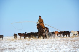 Аймгийн Алдарт уяач Д.Энхтайван: Хүний нүд орсон адууг зохисон үнээр зарчихад гэмгүй