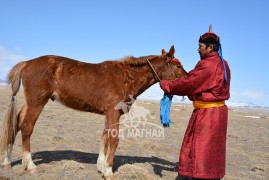 Аймгийн Алдарт уяач Ч.Амарсанаа: Баруун аймгууд морь малаа унаж эдлэх, хайрлаж хямгадахдаа зүүн аймгуудаас илүү