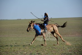 Айргийн гуравт: Б.Түвшинжаргалын хонгор