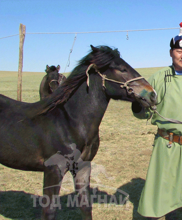 Аймгийн алдарт Лхагвасүрэн